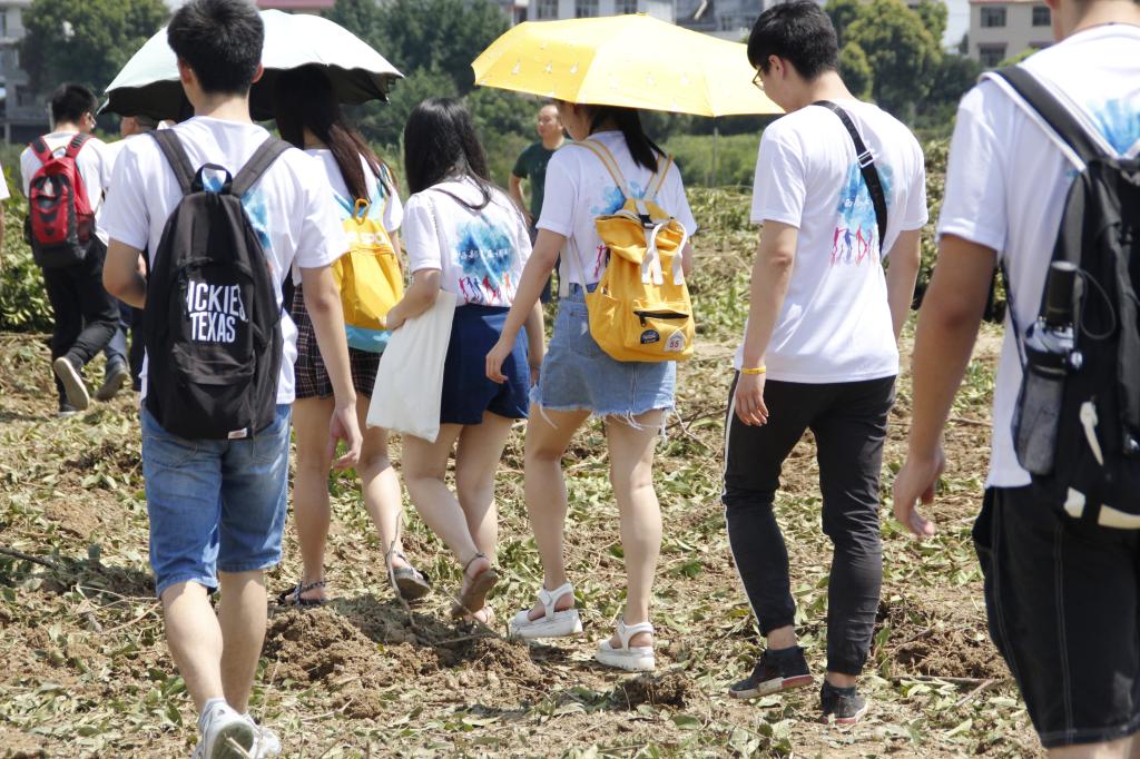 伟德(bevictor)官方网站