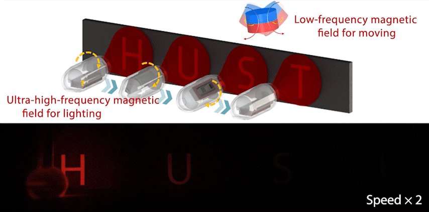 伟德(bevictor)官方网站