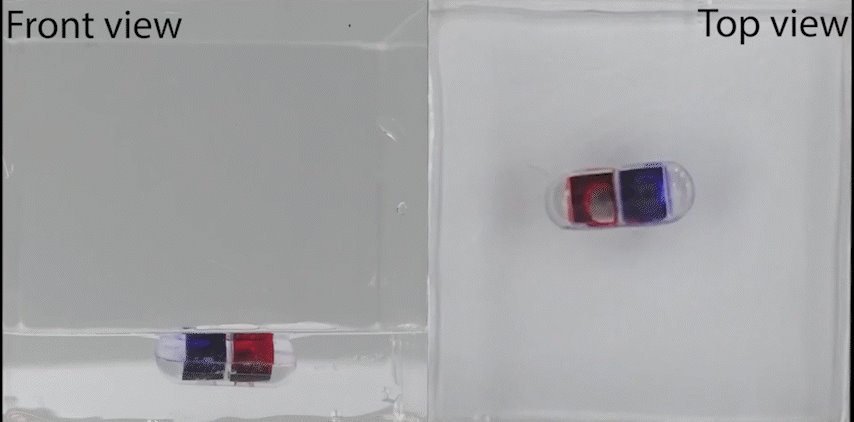 伟德(bevictor)官方网站