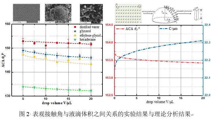 伟德(bevictor)官方网站