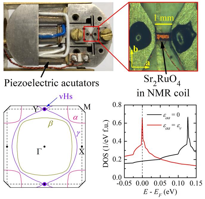 伟德(bevictor)官方网站