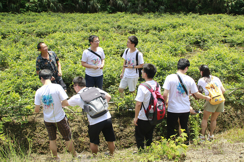 伟德(bevictor)官方网站