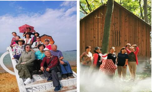 伟德(bevictor)官方网站