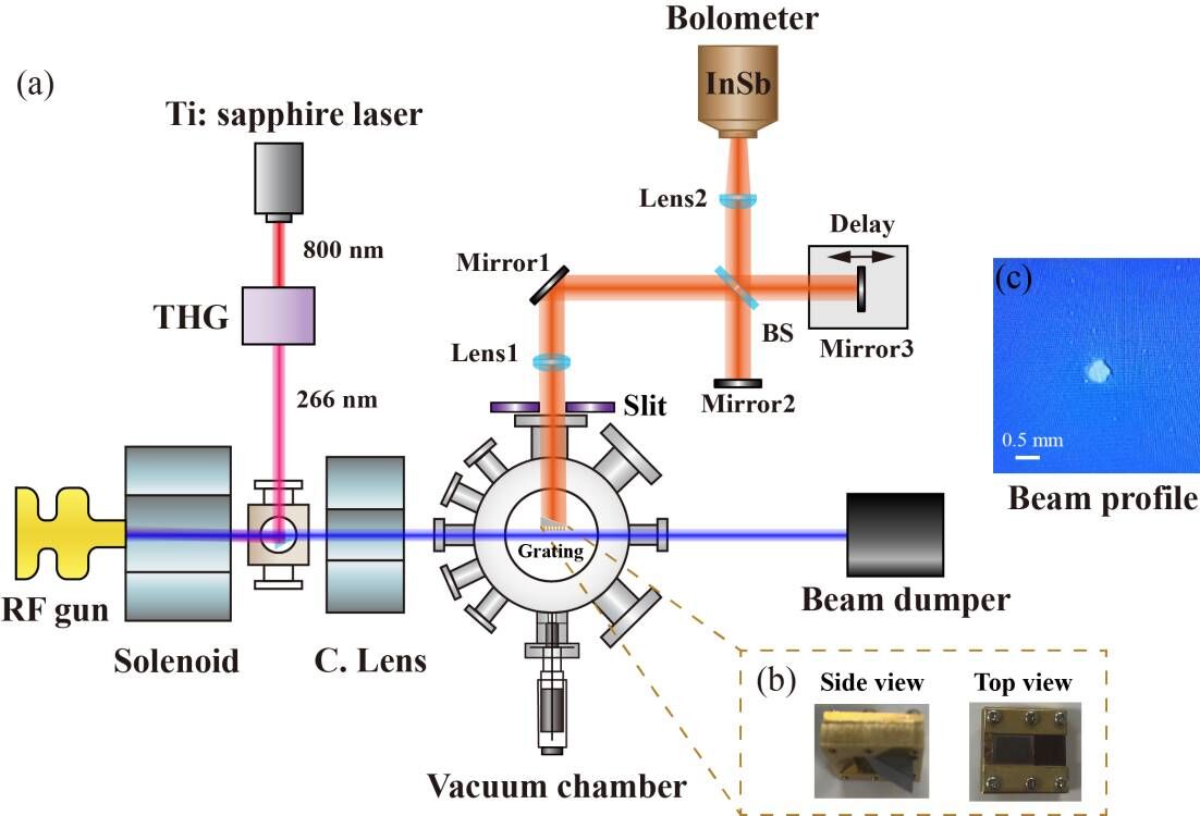伟德(bevictor)官方网站