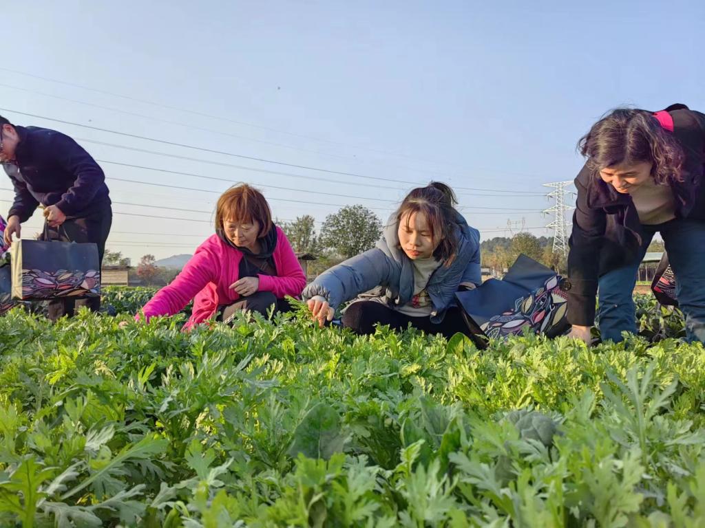 伟德(bevictor)官方网站