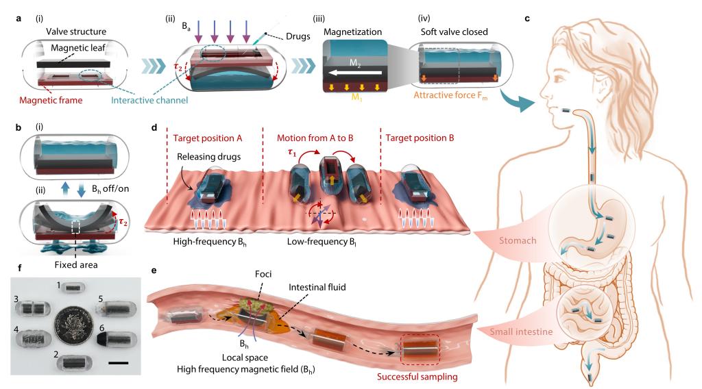 伟德(bevictor)官方网站