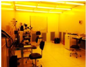 伟德(bevictor)官方网站